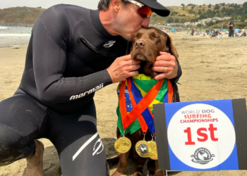 Labradora brasileira ganha campeonato mundial de surfe para cães