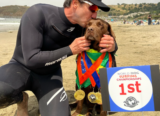 Labradora brasileira ganha campeonato mundial de surfe para cães