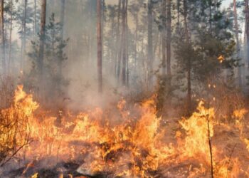 Confira as orientações para amenizar efeitos da fumaça na saúde