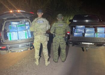 BPFRON, BOPE e PF localizam em mata 554 quilos de maconha