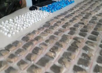 Com apoio do cão farejador, Polícia Civil localiza drogas abandonadas no Parolin