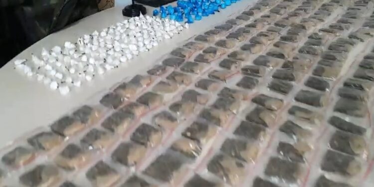 Com apoio do cão farejador, Polícia Civil localiza drogas abandonadas no Parolin