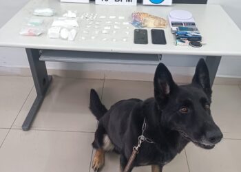 PMs recebem denúncia e cão farejador encontra droga em locais inusitados, veja o vídeo