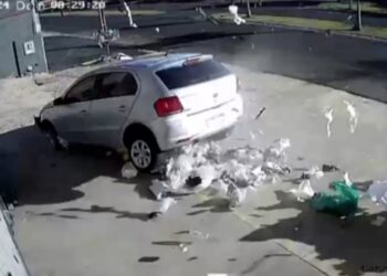 Motorista morre em acidente assustador, veja o vídeo