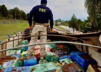 PRF no Paraná apreende 10 toneladas de maconha e faz a maior apreensão do ano no estado