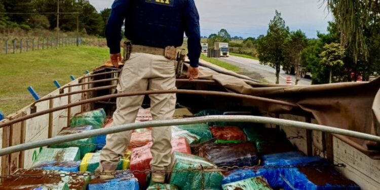 PRF no Paraná apreende 10 toneladas de maconha e faz a maior apreensão do ano no estado
