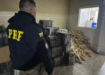 PRF apreende mais de 3 toneladas de maconha