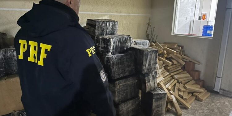 PRF apreende mais de 3 toneladas de maconha