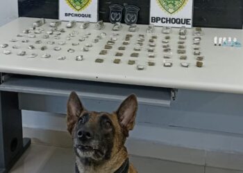 BPCHOQUE apreende drogas no bairro Parolin em Curitiba