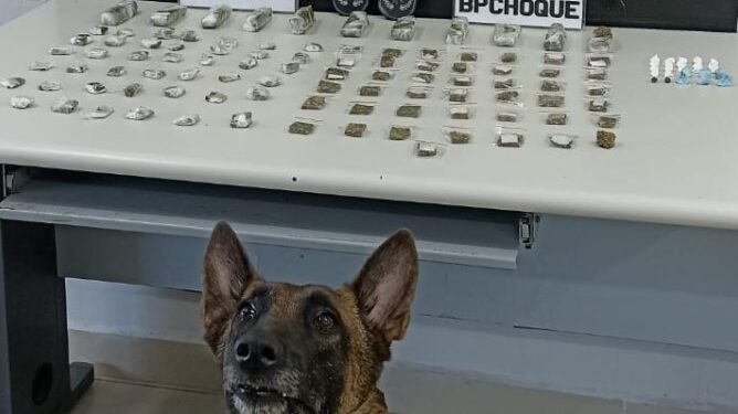 BPCHOQUE apreende drogas no bairro Parolin em Curitiba