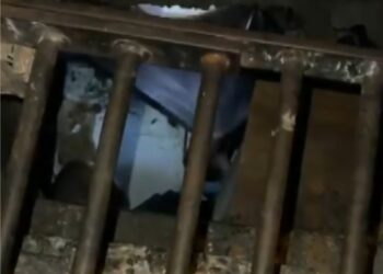 Guarda Municipal descobre biqueira funcionando em rede de esgoto e apreende mais de 4000 porções de drogas