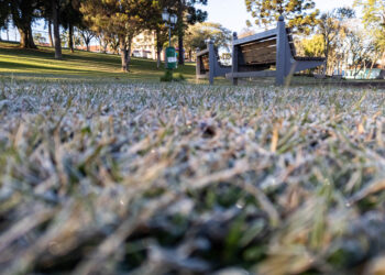 Recorde de frio: 18 cidades do Paraná registram a temperatura mais baixa do ano
