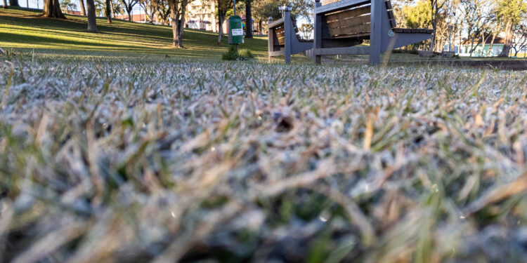 Recorde de frio: 18 cidades do Paraná registram a temperatura mais baixa do ano