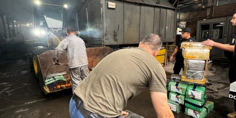 PCPR incinera 1,3 tonelada de maconha