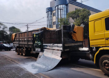 Polícia Militar apreende três toneladas de maconha em caminhão
