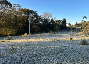 15 cidades com temperatura abaixo de zero e -5,3°C: 13 de agosto foi o dia mais frio do ano