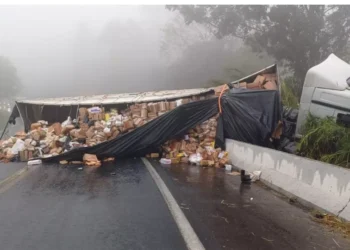 Enquanto vítimas eram socorridas, população saqueou carga de caminhão envolvido em acidente fatal,  no Paraná