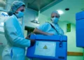 Doação de órgãos: conheça exigências e tire dúvidas sobre transplantes