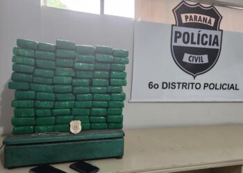 Mulheres são presas em ônibus quando embarcavam com malas recheadas de maconha