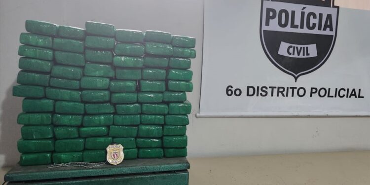 Mulheres são presas em ônibus quando embarcavam com malas recheadas de maconha