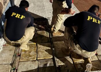 PRF apreende 3,2 toneladas de maconha no Paraná
