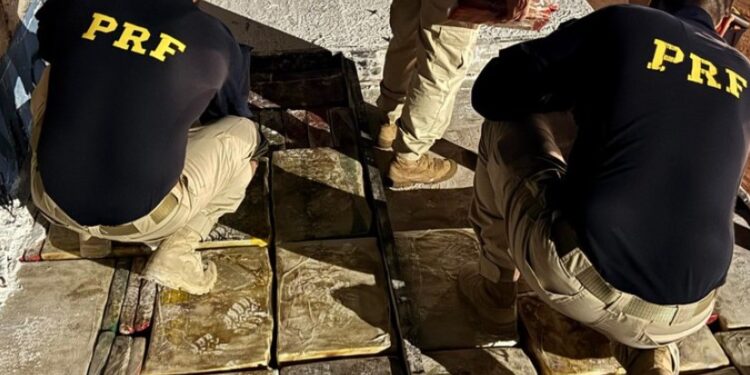 PRF apreende 3,2 toneladas de maconha no Paraná