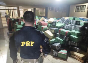 PRF apreende mais de 14 toneladas de maconha na divisa Paraná/São Paulo