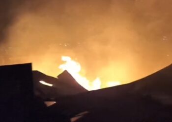 Incêndio atinge depósito de reciclagem de madeira, veja o vídeo