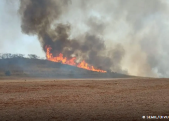 Brigadista morre durante combate a incêndio em São Paulo