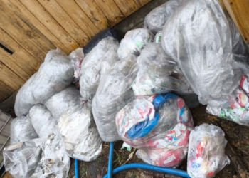 Mais de 10 mil litros de vinho fraudado são apreendidos em barracão no Paraná