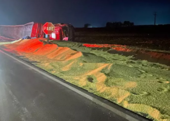 Carreta tomba e carga fica espalhada pela rodovia na PR-495