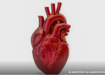 Doenças cardiovasculares matam 400 mil brasileiros por ano