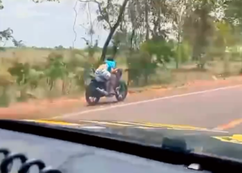 Indivíduo tenta dar fuga da PRF e leva a pior, veja o vídeo