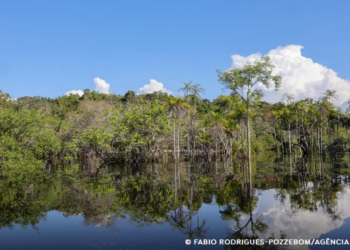Rio Negro pode passar por pior seca da história ainda esta semana