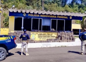 PRF apreende quase 2 toneladas de maconha no Paraná