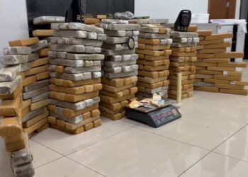 RONE apreende cerca de 200 quilos de maconha na região central de Curitiba