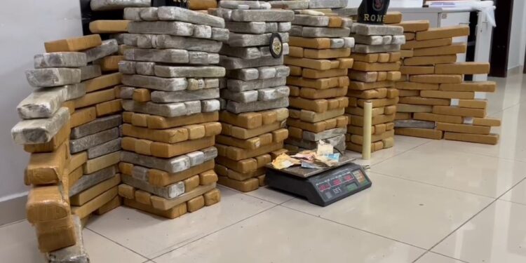 RONE apreende cerca de 200 quilos de maconha na região central de Curitiba