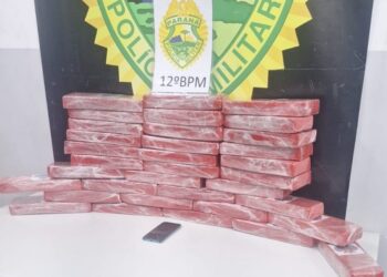 Serviço de Inteligência encontra malas carregadas com maconha na Rodoferroviária de Curitiba