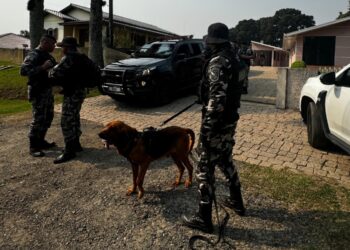 Após acompanhamento tático a carro carregado com drogas, um é preso e outro morre em confronto com a PM