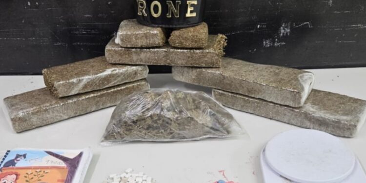 RONE apreende maconha e ecstasy em Pinhais e na CIC
