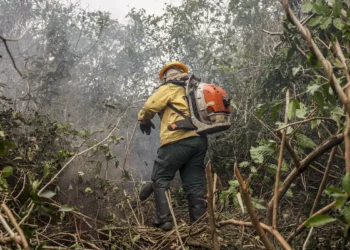 Ibama multa fazendeiros em R$ 100 milhões por incêndio no Pantanal