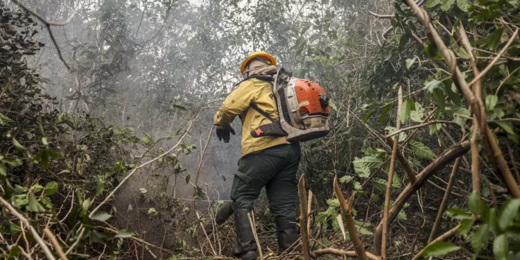 Ibama multa fazendeiros em R$ 100 milhões por incêndio no Pantanal