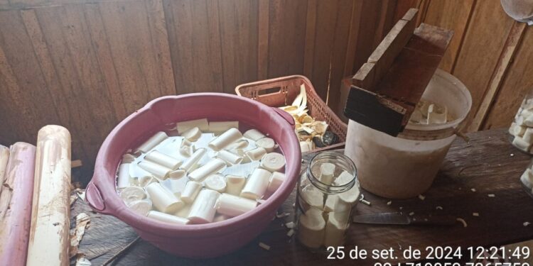 PMPR desativa fábrica clandestina de palmito