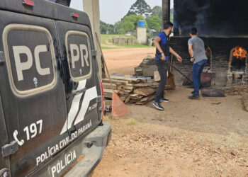 PCPR incinera meia tonelada de drogas em São José dos Pinhais