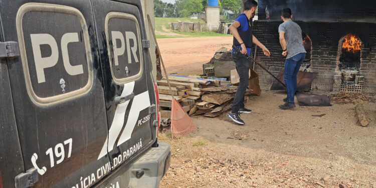PCPR incinera meia tonelada de drogas em São José dos Pinhais