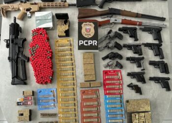 Polícia Civil prende homem e apreende 23 armas de fogo em Pato Branco