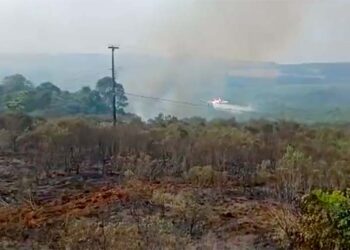 Avião contratado pelo Estado combate incêndio em Palmeira; veja o vídeo