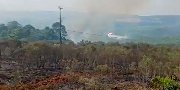 Avião contratado pelo Estado combate incêndio em Palmeira; veja o vídeo