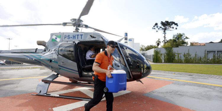 Líder de transplantes no Brasil, Paraná celebra Dia Nacional da Doação de Órgãos