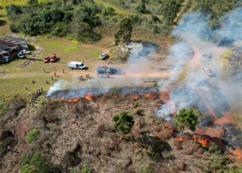 Para prevenir incêndios, Paraná suspende por 90 dias queima controlada no campo